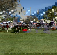 Sakura Matsuri  - Cherry Blossom Festival - in doubt due to Covid-19 - Gold Coast 4U