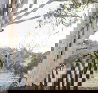 Sculptures in the Garden - Accommodation Gold Coast