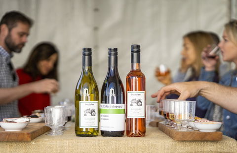 Southern Highlands Food And Wine Festival - Accommodation Gold Coast 2