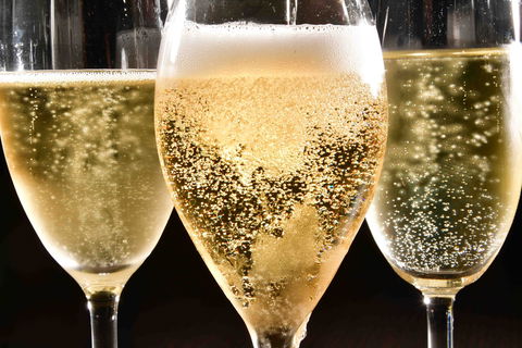 Sparkling Sydney - Accommodation Gold Coast 2