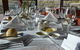 Spring Degustation Dinner At Holmesglen - thumb 0