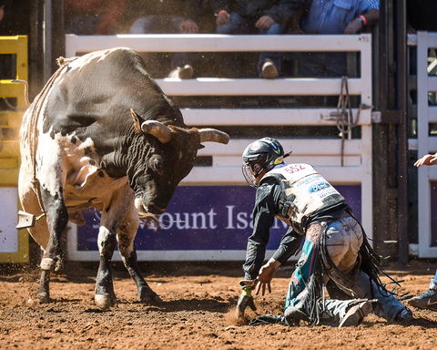 The 2020 Virtual Mount Isa Mines Rodeo - Accommodation Gold Coast 2
