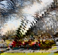 The Orange Society of Model Engineers - Miniature Train Rides - Accommodation Gold Coast