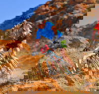 The Redback - Accommodation Gold Coast