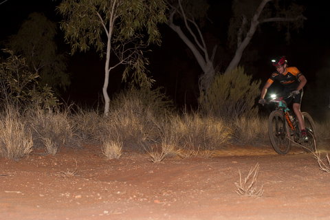 The Redback - Accommodation Gold Coast 1