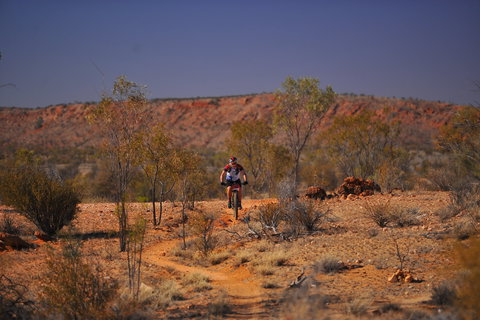 The Redback - Accommodation Gold Coast 2