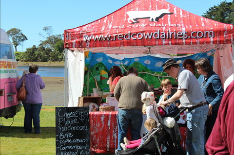 Tulip Festival Wynyard - Gold Coast 4U 1
