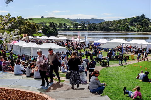 Tulip Festival Wynyard - Gold Coast 4U 2