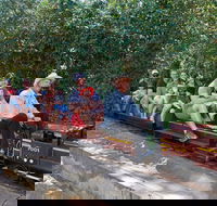 Twilight Run   Willans Hill Miniature Railway - Accommodation Gold Coast