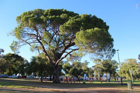 Wagga Parkrun - 1 Gold Coast 1
