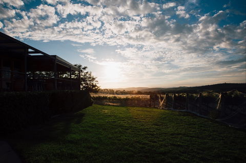 Weekly Truffling At Contentious - Accommodation Gold Coast 0