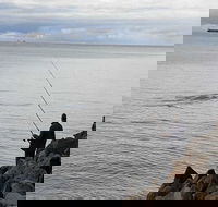 Whale Watching in Portland - Accommodation Gold Coast