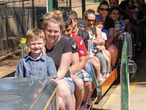 Willans Hill Miniature Railway Rides: Open Days - 1 Gold Coast 0