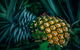 Yeppoon Community Market - thumb 0