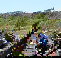 Yoga in the Vines - Accommodation Gold Coast