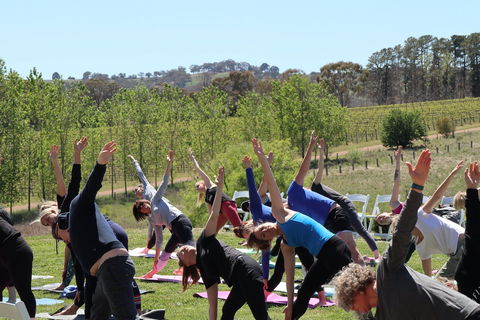 Yoga In The Vines - Accommodation Gold Coast 0