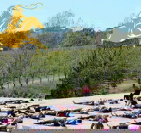 Yoga in the Vines - Accommodation Gold Coast
