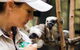 Animal Training And Conditioning - Sept - thumb 0