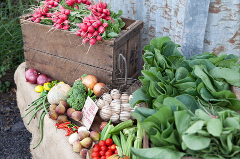 Ma Ma Creek Markets - Accommodation Gold Coast 0
