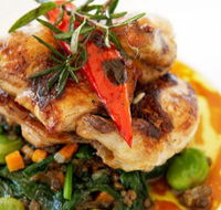 Stella Italian Kitchen  Pizzeria - Accommodation Gold Coast