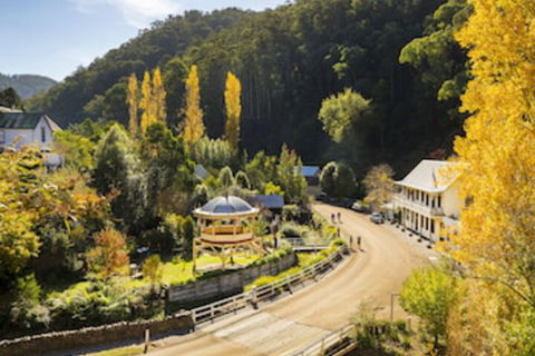 Walhalla's Star Hotel - Accommodation Gold Coast 0