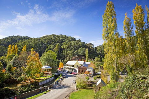 Walhalla's Star Hotel - Accommodation Gold Coast 2