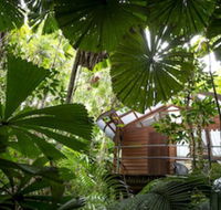 Daintree Wilderness Lodge - Accommodation Gold Coast