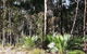 The Bower At Broulee - thumb 0