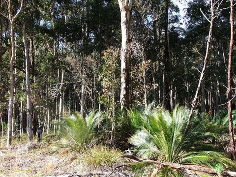 The Bower At Broulee - Gold Coast 4U 0