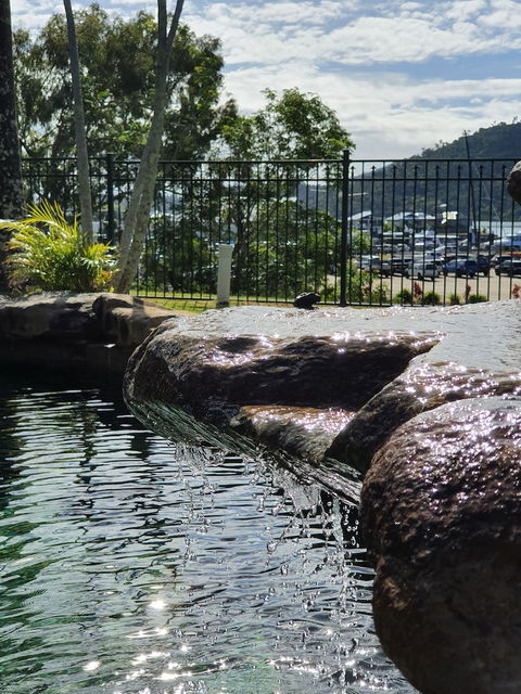 Colonial Palms Motor Inn - Accommodation Gold Coast 0