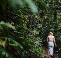 Daintree Ecolodge - Gold Coast 4U