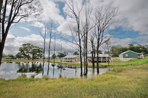 Starline Alpacas Farmstay Resort - Accommodation Gold Coast 0