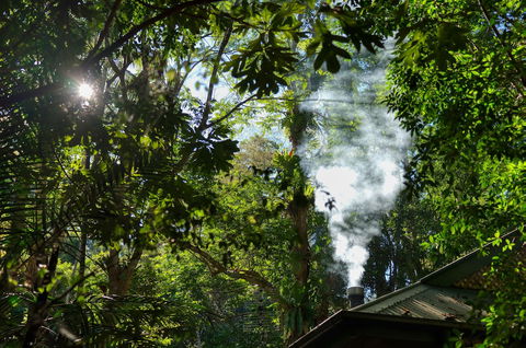 Narrows Escape Rainforest Retreat - Gold Coast 4U 5