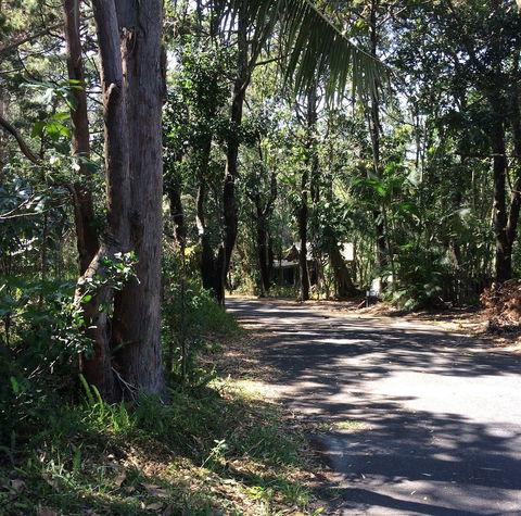 Byron Bay Rainforest Resort - Gold Coast 4U 3
