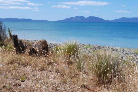 Schouten House - Accommodation Gold Coast 1