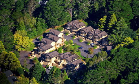 Falls Mountain Retreat - Accommodation Gold Coast 0