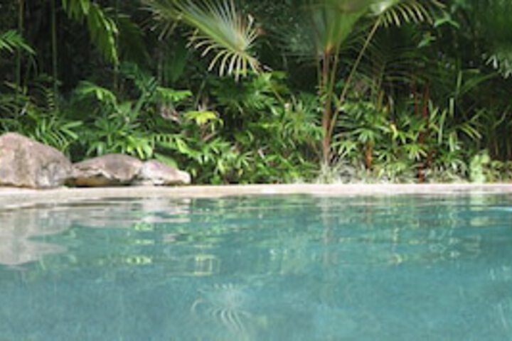 Cow Bay QLD Accommodation Gold Coast