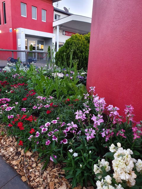 City Golf Club Motel - Gold Coast 4U 2