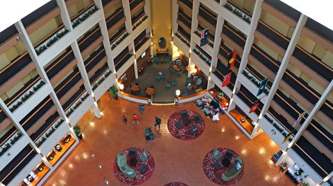 Rydges Sydney Harbour - Gold Coast 4U 5