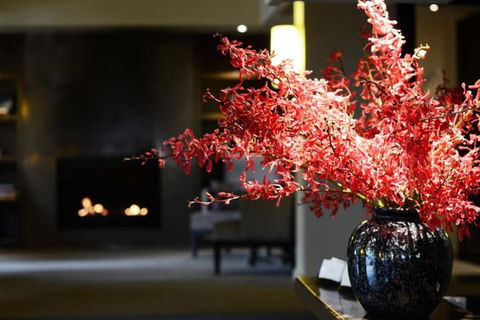 The Lyall Hotel And Spa - Accommodation Gold Coast 3