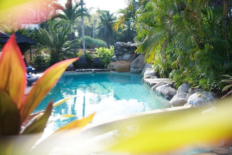 Lazy Lizard Motor Inn - Accommodation Gold Coast 3