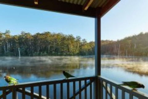 RAC Karri Valley Resort - Accommodation Gold Coast 5