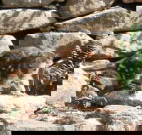 Jenolan Caves House - Gold Coast 4U