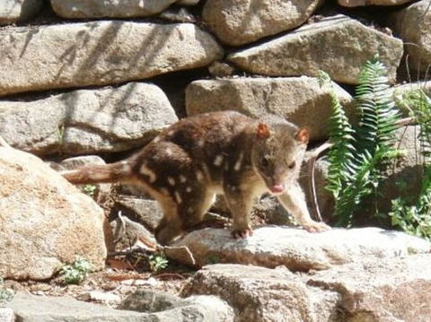 Jenolan Caves House - Gold Coast 4U 0