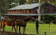 Bilpin Country Lodge - thumb 1