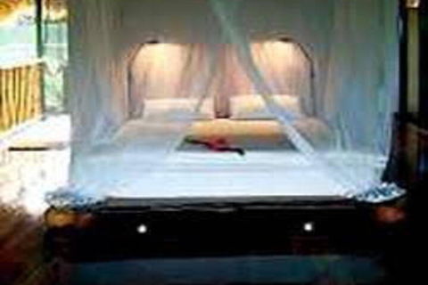Cockatoo Hill Retreat - Gold Coast 4U 0