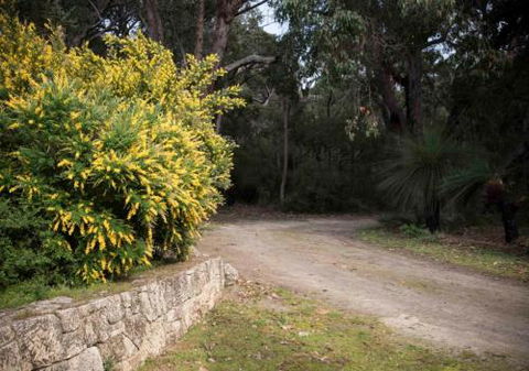 Selador - Accommodation Gold Coast 1