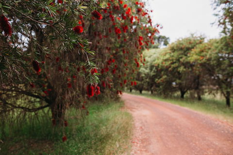 Margaret River Holiday Cottages - Accommodation Gold Coast 1