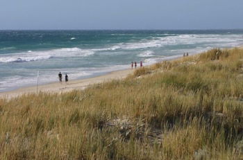 Scarborough & Absolutely Beachfront - Accommodation Gold Coast 0