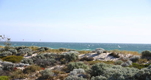 Scarborough & Absolutely Beachfront - Accommodation Gold Coast 4